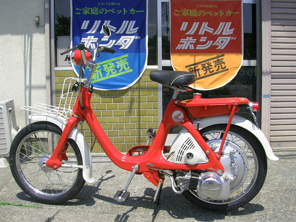 NO.6
